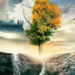 Meet your Posher, Luz